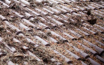 Hadleigh roof cleaning companies